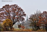 25-11-2018 Breda - Terheijden in de mist. - Fotokrant